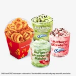 mcflurry n twister fries bundle for 3
